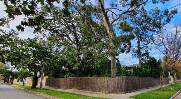 12 Toorak Avenue, TOORAK