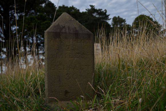Milepost D 2020
