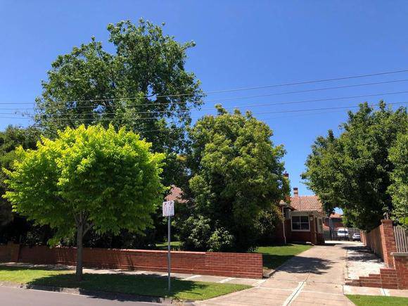 20 Harold Avenue, Glen Iris