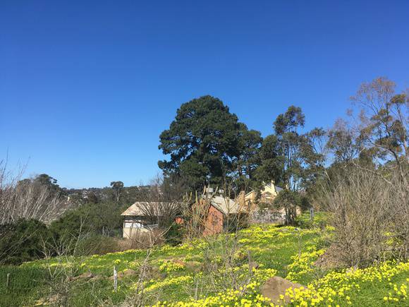 2019  outbuildings and Inn viewed from the north