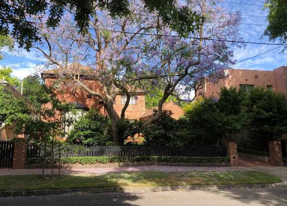 29 Avenel Road, Kooyong.jpeg