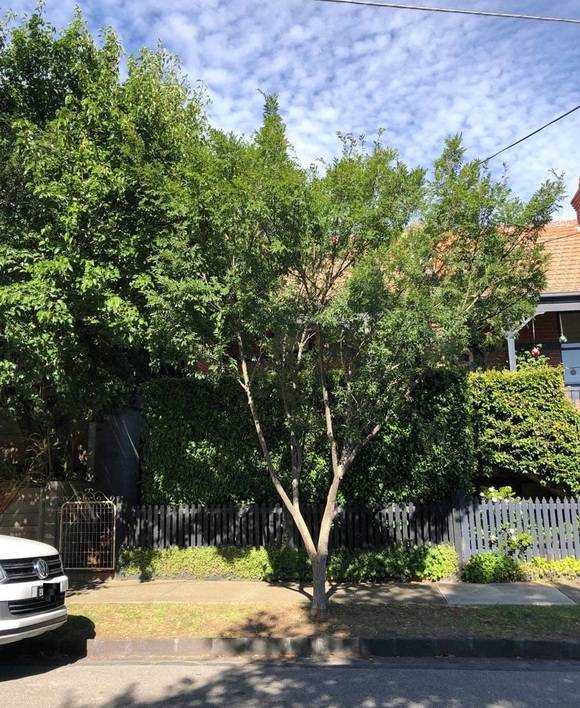 73 Elizabeth Street, Kooyong