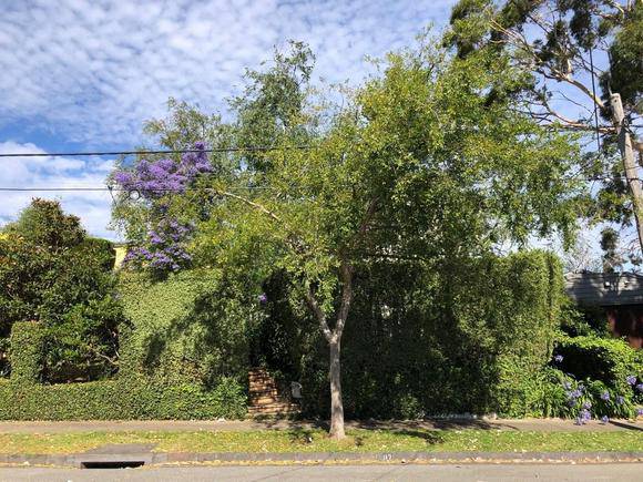 87 Elizabeth Street, Kooyong