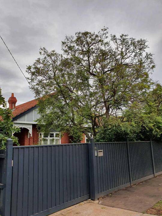 41 Tooronga Road, Malvern East