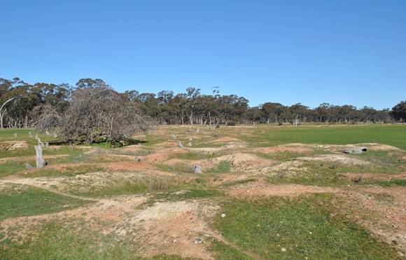 OLD - 2019  Surface view of remnant shafts  facing south-west