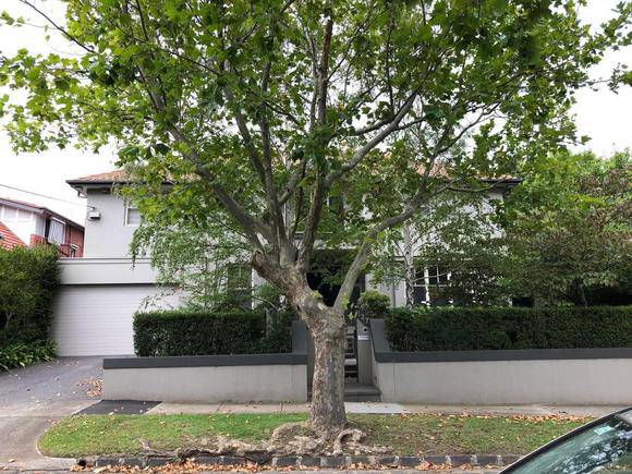 137 Finch Street, Glen Iris