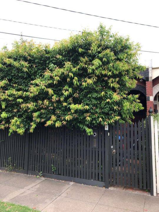 33 Irving Avenue, Prahran