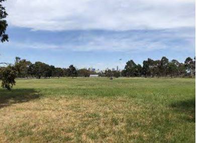 2019  location of asylum cricket ground