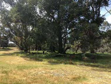 2019  location of asylum cemetery