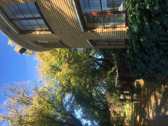 MacRobertson Girls' High School May 2020