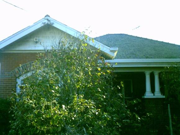 Image taken during Newtown/Chilwell Heritage Review 2007