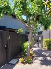 2024 View from public walkway to Laundry on left and Hospital building to right