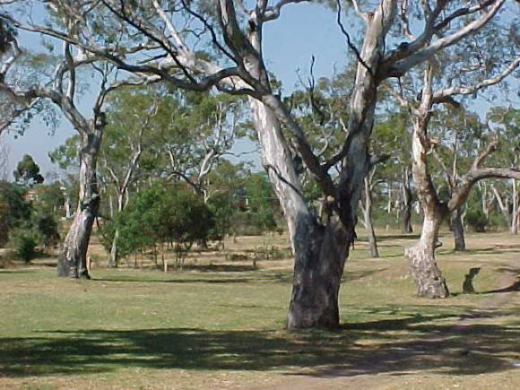 View from north-eastern corner