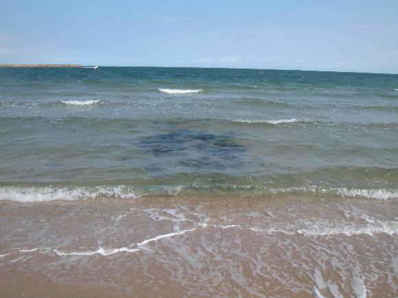 McGregor St Unidentified Bluestone Scatter Port Melbourne March 2003 002