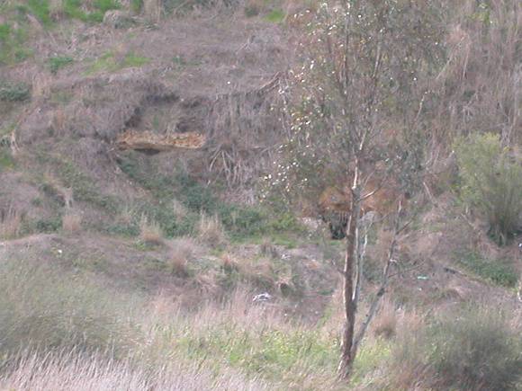 Wine Hall Storage Cave And Landing Maribyrnong May 2003 001