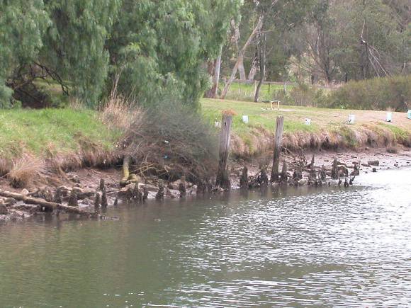 Riverview Teagardens Wharf And Slipway Maribyrnong May 2003 002