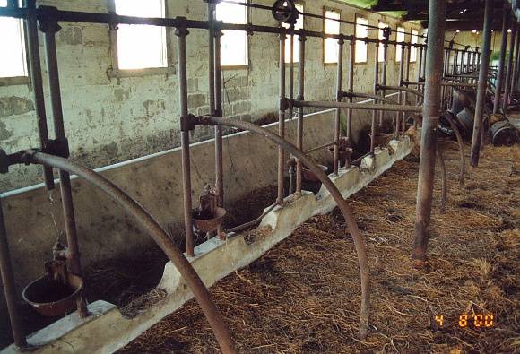 Knox's Rockhill Farm