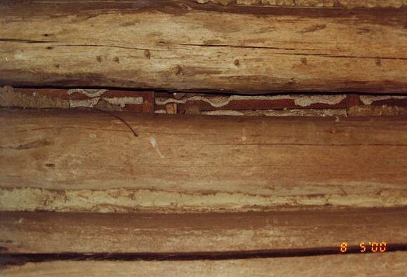 Glen Wallace wall detail