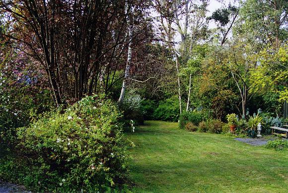 MARSHALL GARDEN (7)