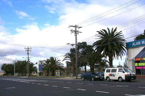 29030 Barkly St palms 5399