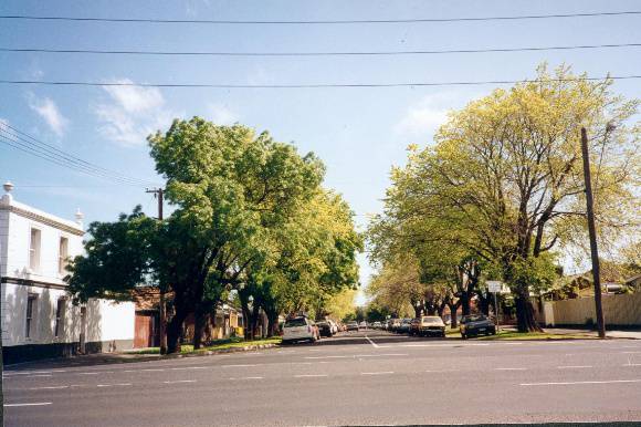 Bunbury St Elms & Ashs