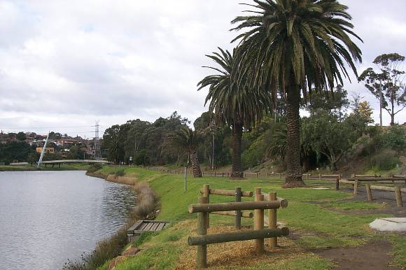 Chifley Dr palms B