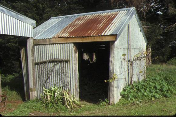 koonoona merricks road merricks north wool shed june 1989