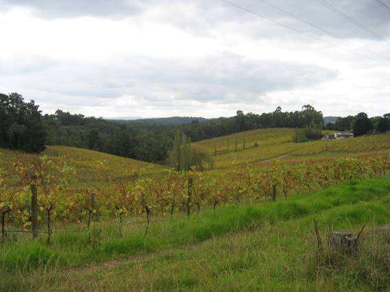 22745 Kellybrook Winery - 1-3 Fulford Road, Wonga Park (3) 