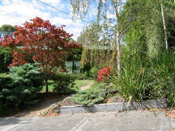 22538 House - 37 Olympus Drive, Lower Templestowe (3)