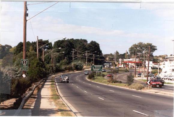 22356 Pine & Cypress Trees - Bridge Street, Bulleen