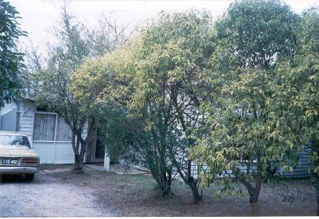 22421 House - 108 Whittens Lane, Doncaster