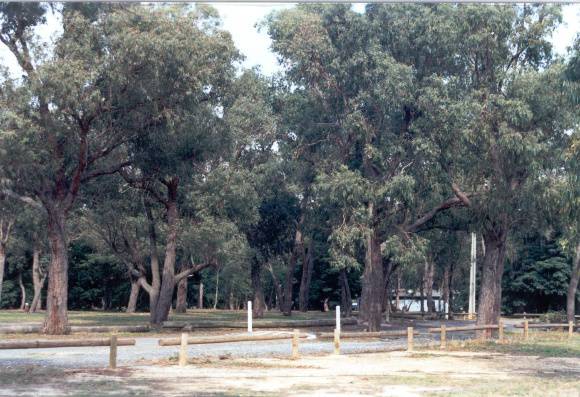 22471 Zerbes Reserve - Blackburn Road, Doncaster East (1)