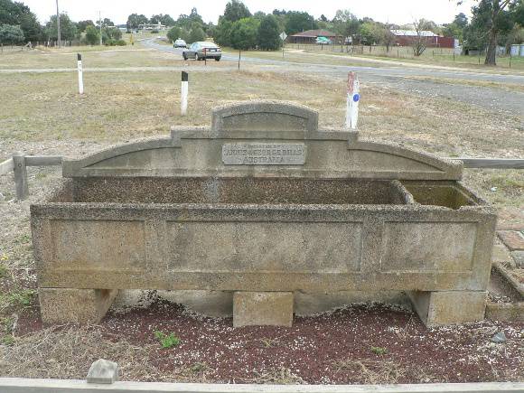 Detail of Horse trough Haddon 