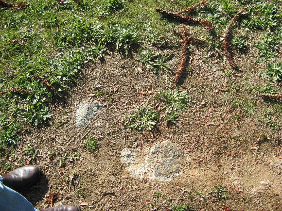 Stone footings