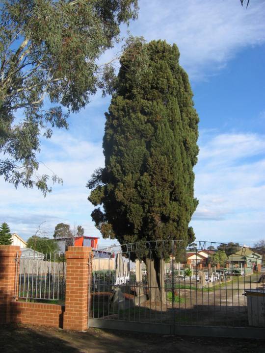 143 Separation Street, Northcote Cemetery