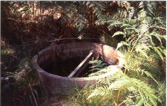 22736 Well at Clifford Park - Clifford Drive, Wonga Park