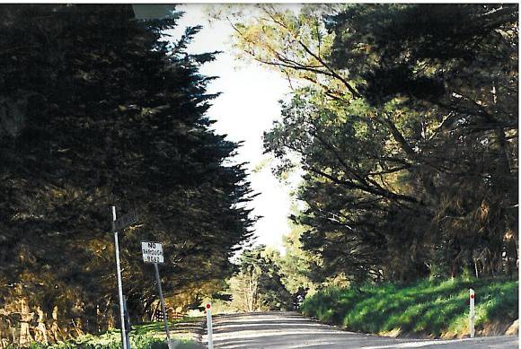 22769 Lakeview Nurseries - Lower Homestead Road, Wonga Park