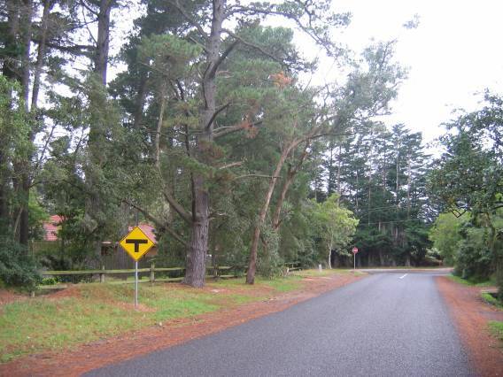 L10286 Endeavour Fern Gully 2