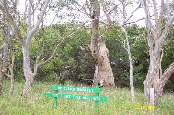 52915 Cusack Russell Tree Tahara