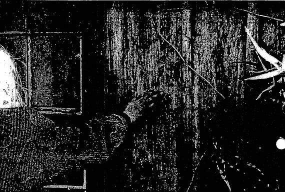 18.10 - Barton Hill Residence 02 - Shire of Whittlesea Heritage Study 1991