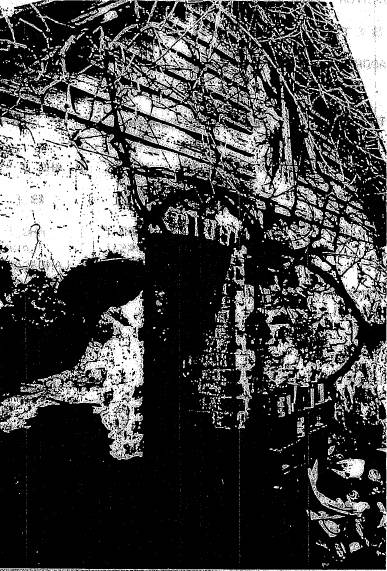 18.10 - Barton Hill Residence 03 - Shire of Whittlesea Heritage Study 1991