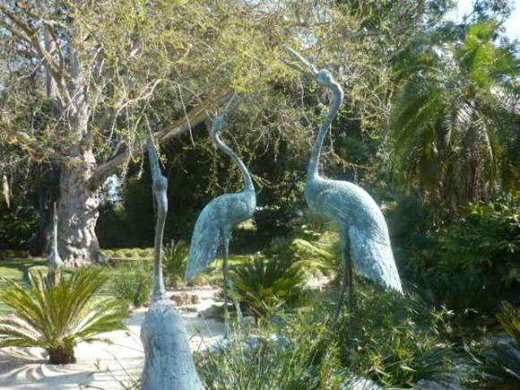 Botanical Garden    Storks   1