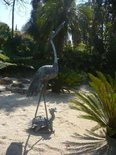 Botanical Gardens   Storks   2