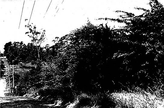 17 - Worlingworth 10 26 Banoon Rd - Shire of Eltham Heritage Study 1992