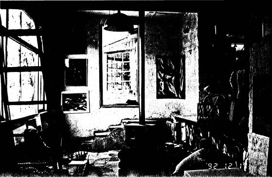 18 - Frank Werther Residence off Barreenong Rd 04 - Shire of Eltham Heritage Study 1992