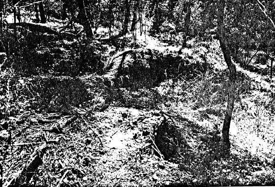 26 - Alluvial Gold Mining Remains end Blue House Rd - Shire of Eltham Heritage Study 1992