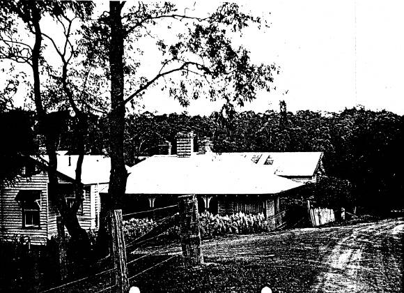 27 - Walter Withers House - Southernwood 250 Bolton St_02 - Shire of Eltham Heritage Study 1992