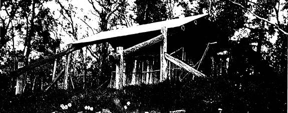 31 - Miners Timber Slab Cottage 2 Castle Rd_04 - Shire of Eltham Heritage Study 1992