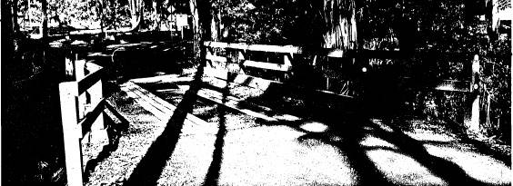 33 - Timber Trestle Road Bridge over Arthurs Creek_02 - Shire of Eltham Heritage Study 1992