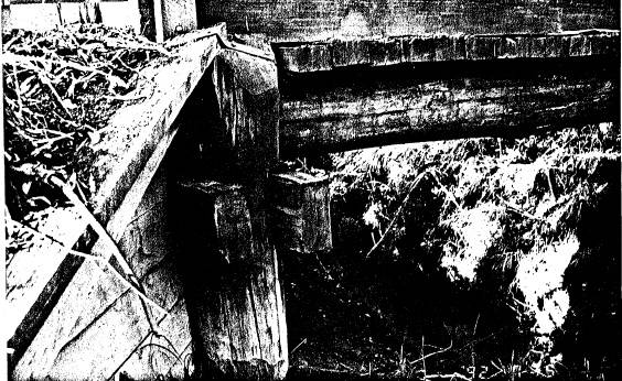 33 - Timber Trestle Road Bridge over Arthurs Creek_03 - Shire of Eltham Heritage Study 1992